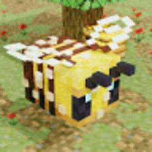 Meet your Posher, Lilly